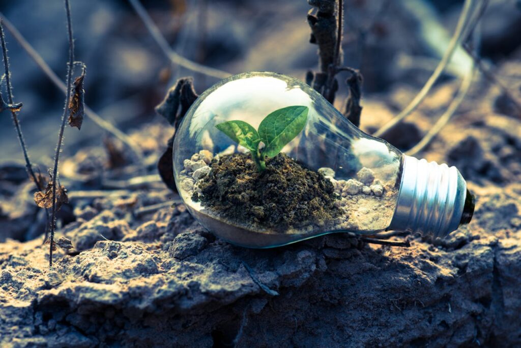 bulb-with-plant-inside