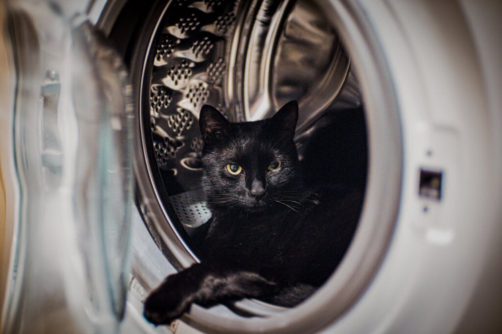 open-washing-machine